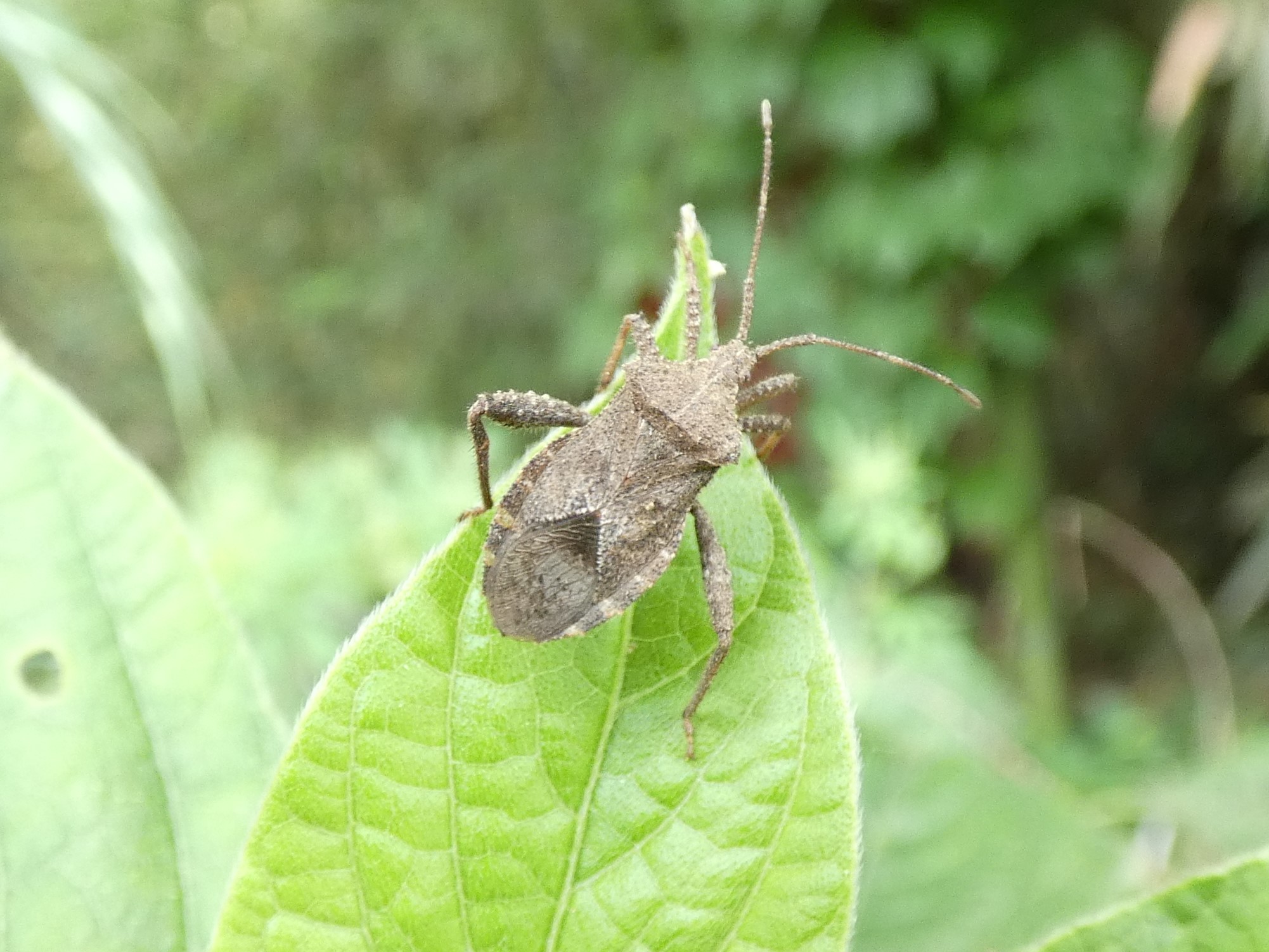 photo_2